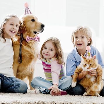 Dog Birthday Hat, Reusable Dog Cat Party Hat with Bow Tie Collar and Blue Number for Pet Puppy Cat Birthday Party Decorations, Pet Costumes Headwear Accessories (Pink)