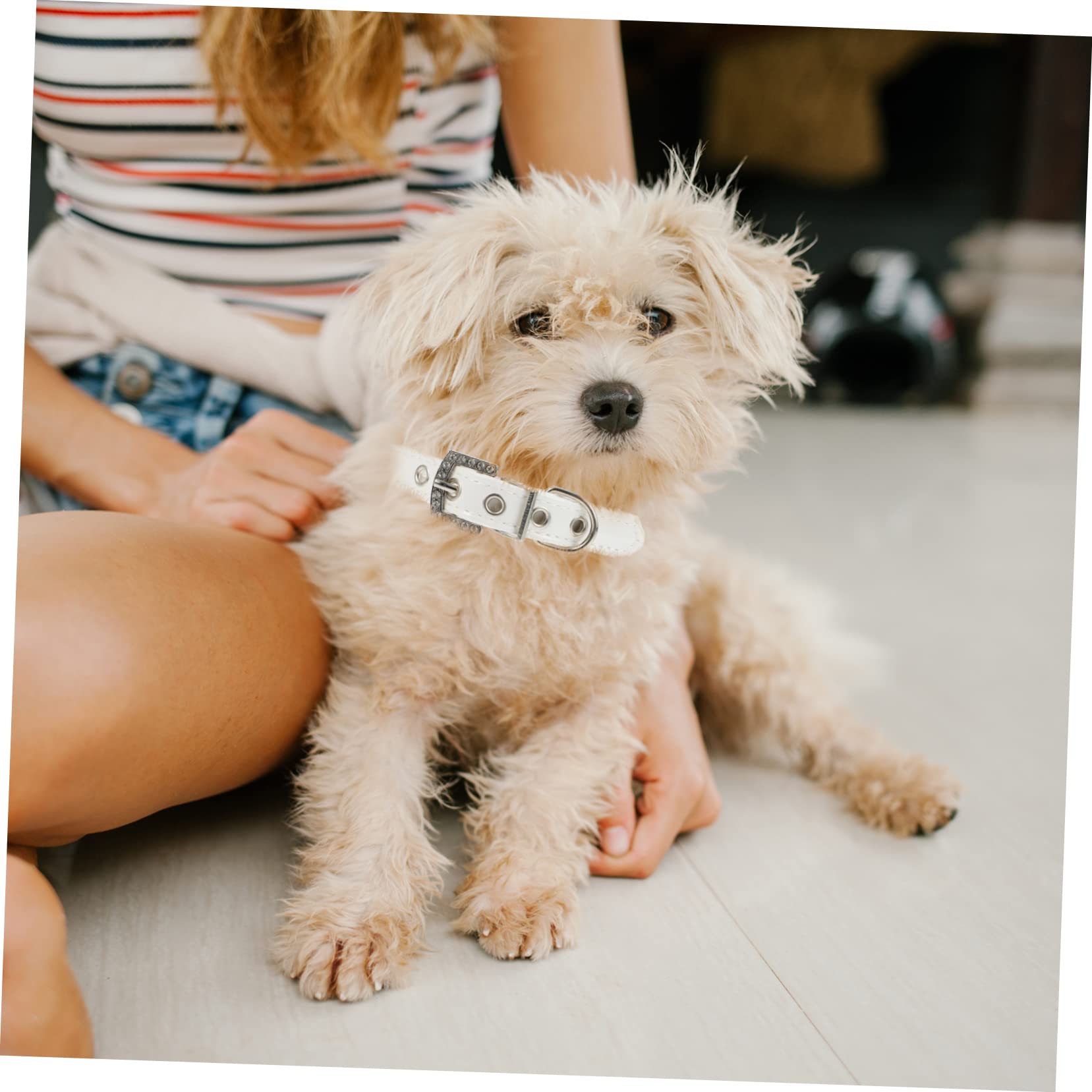 SUPVOX 2 Stück Hundehalsband und Führleine aus PU Leder mit Künstlichen Perlen Flexibel und Bequem für Welpen Geeignet für Training und Spaziergänge
