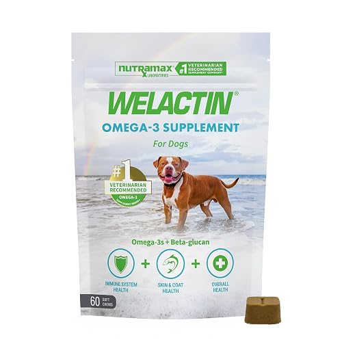 Nutramax Welactin Omega-3 Fish Oil Supplement for Dogs, Soft Chews, 60ct | Dog Skin and Coat Supplement, Omega-3 Fatty Acids, Beta Glucan, Supports Immune and Overall Health, All Ages & Sizes