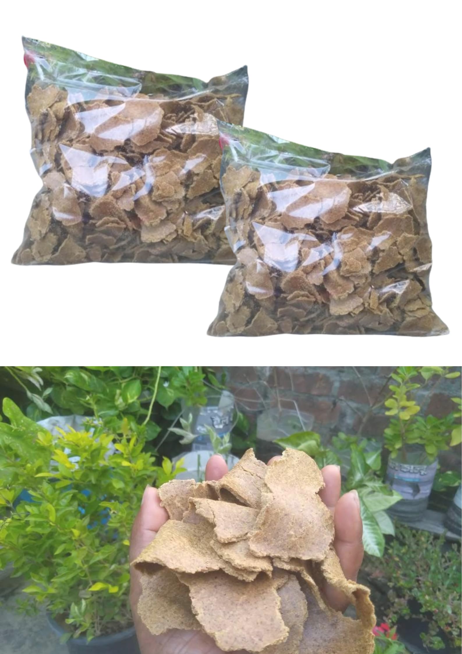 See full amazon price history chart for Mustard Cake fertlizer for plants | sarso ki khali 2kg pack | Sarso ka khad mustard cake manure powder sarso ki khali ka powder | mustard powder fertilizer Mustard Cake fertlizer for plants | sarso ki khali 2kg pack | Sarso ka khad mustard cake manure powder sarso ki khali ka powder | mustard powder fertilizer (B0D834JY1N) Amazon Price History, Amazon Price Tracker
