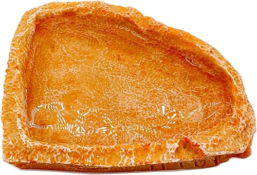 Miniatura 9 de Plato pequeño de comida para reptiles, paquete de 2 cuencos de comida para reptiles para dragón barbudo, gecko, lagarto, rana, cangrejo ermitaño,