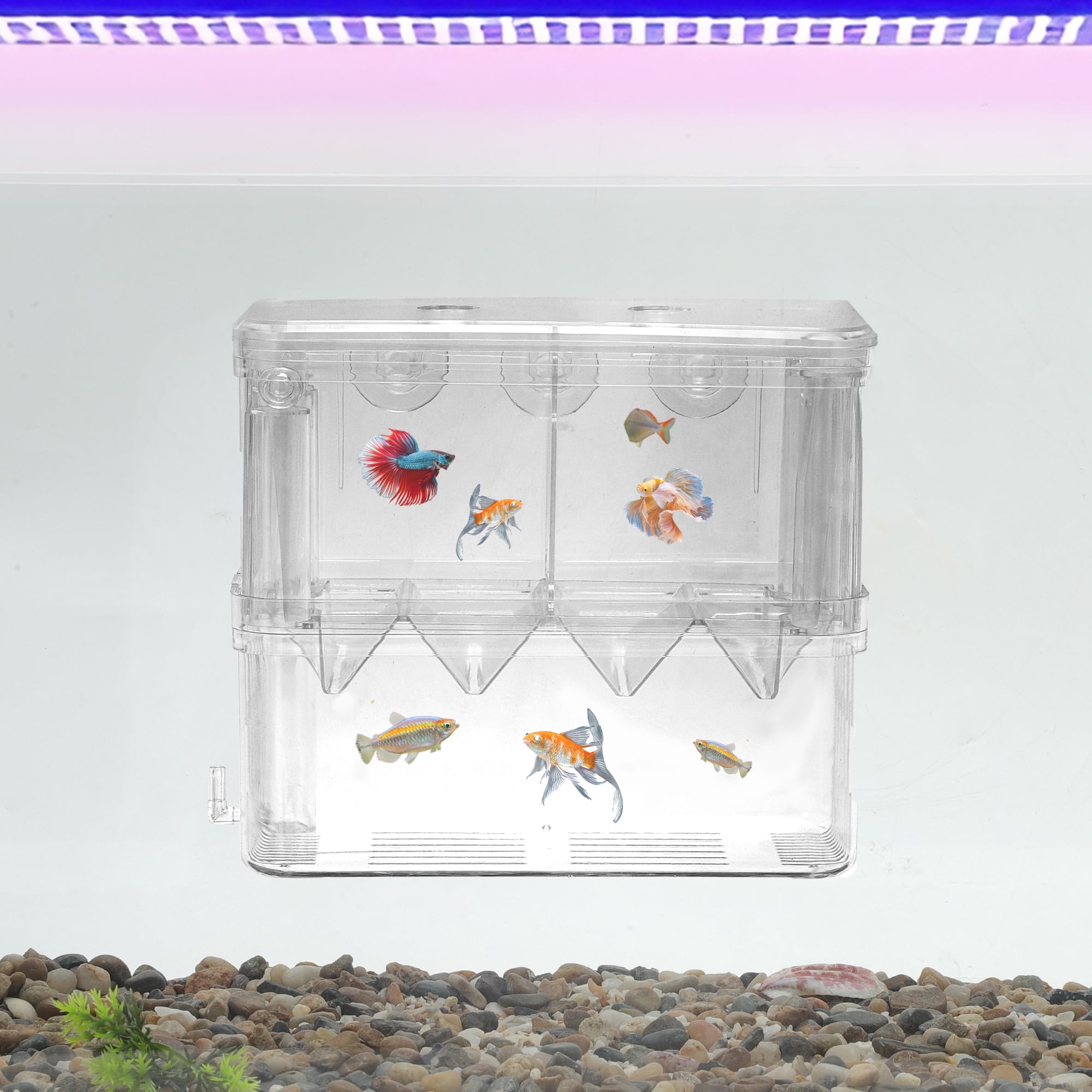 CAPASTEC Fish Breeder Box, Easy-to-Use Breeder Tank Divider, Breeder Box for Fish Tank Versatile Breeder System, XL, Clear, 1 Set - Image 2