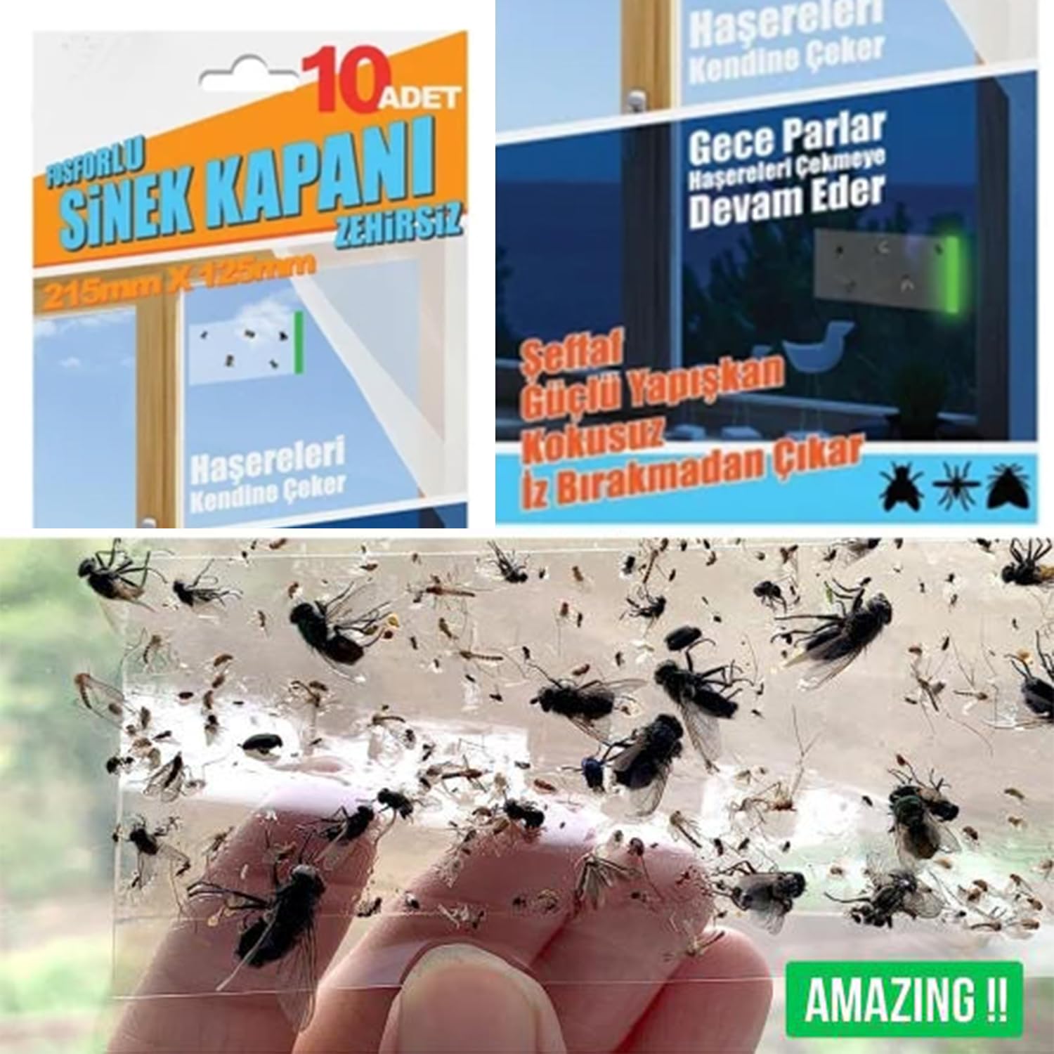 Fosforlu Yapışkanlı Şeffaf Kokusuz Haşere Sinek Kapanı Şerit Bandı 215 mm x 125 mm 10'lu Paket