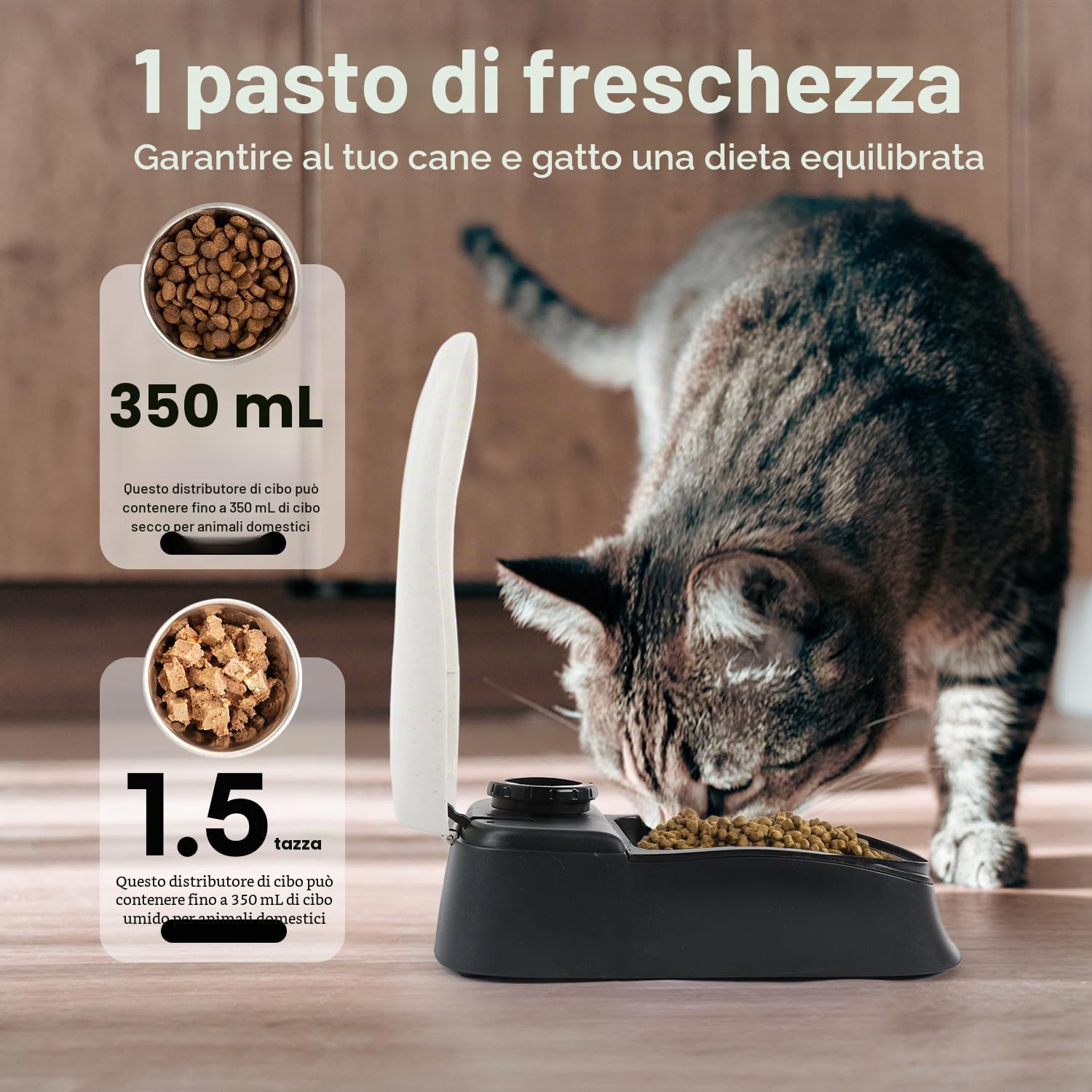 PAWISE Mangiatoia Automatica Per Animali Domestici per cani e gatti, stazione per erogatore di cibo da 1,5 tazze con timer 48 ore - Singola
