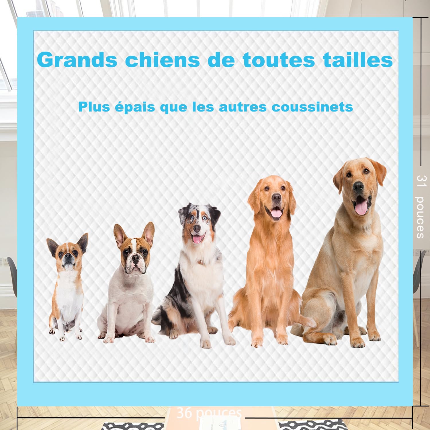60 Pièces Gros Tapis Absorbant Chien, 80x90cm Alese Jetable, Alèse Pipi Tapis Educateur pour Chien Gros,Apprentissage de la Propreté Tapis Hygiénique (60 Pièces 80x90cm)