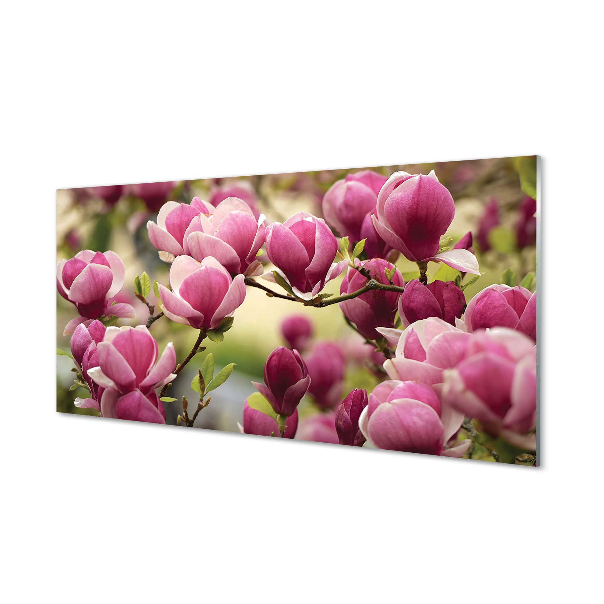 Crédence adhésive 120x60cm en verre trempé avec motif de fleurs et arbres pour cuisine
