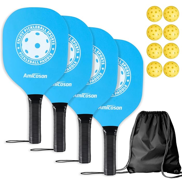 Buy Amicoson Pickleball Paddles Pickleball Set of 4 Paddles, Indoor