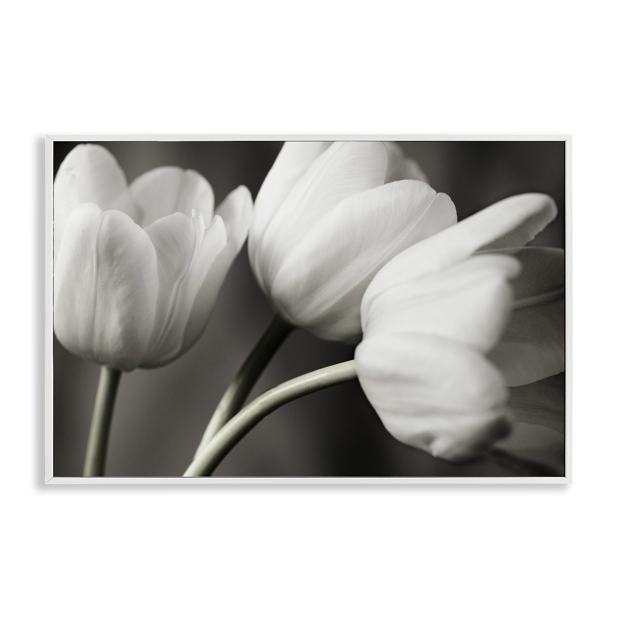 'Row Of Monochrome Tulips'| Framed Giclee Art