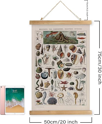 Miniatura 165 de XIAOAIKA Póster de botánica vintage con marco de madera, tabla de plantas venenosas antiguas, arte educativo botánico con especies peligrosas, 1