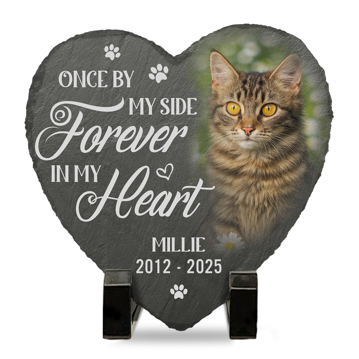 DOPTIKA Custom Photo You Would Have Lived Forever Personalized Photo Cat Memorial Gifts for Loss of Cat, Cemetery Decorations for Grave, Cat Sympathy Gifts, Cat Garden Decor, Pet Memorial for Cats