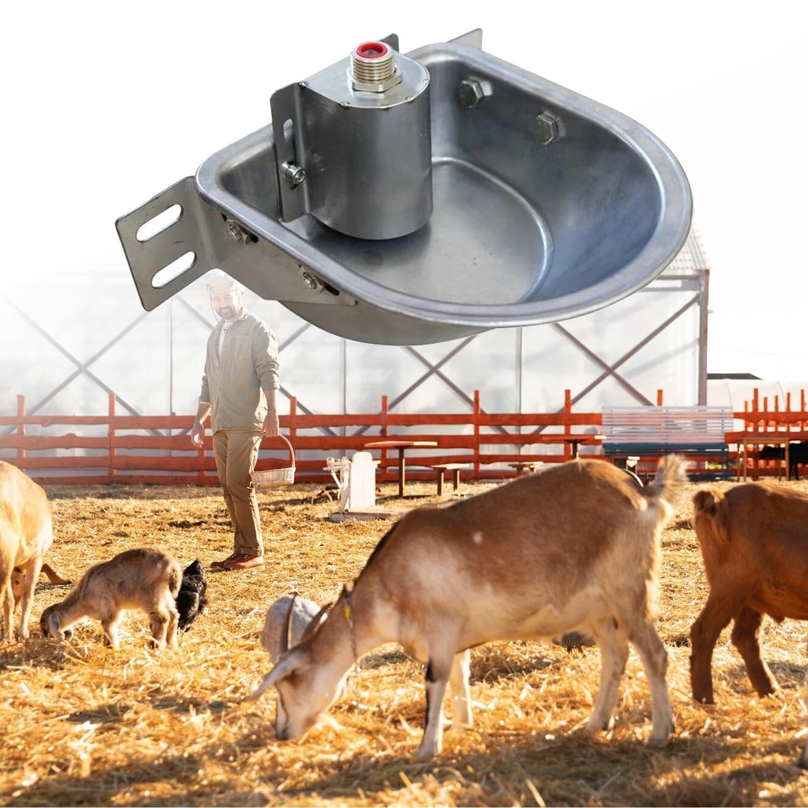 Abbeveratoio Automatico per Pecore, Distributore Automatico di Acqua in Acciaio Inossidabile per E Agnelli, Senza Foro di