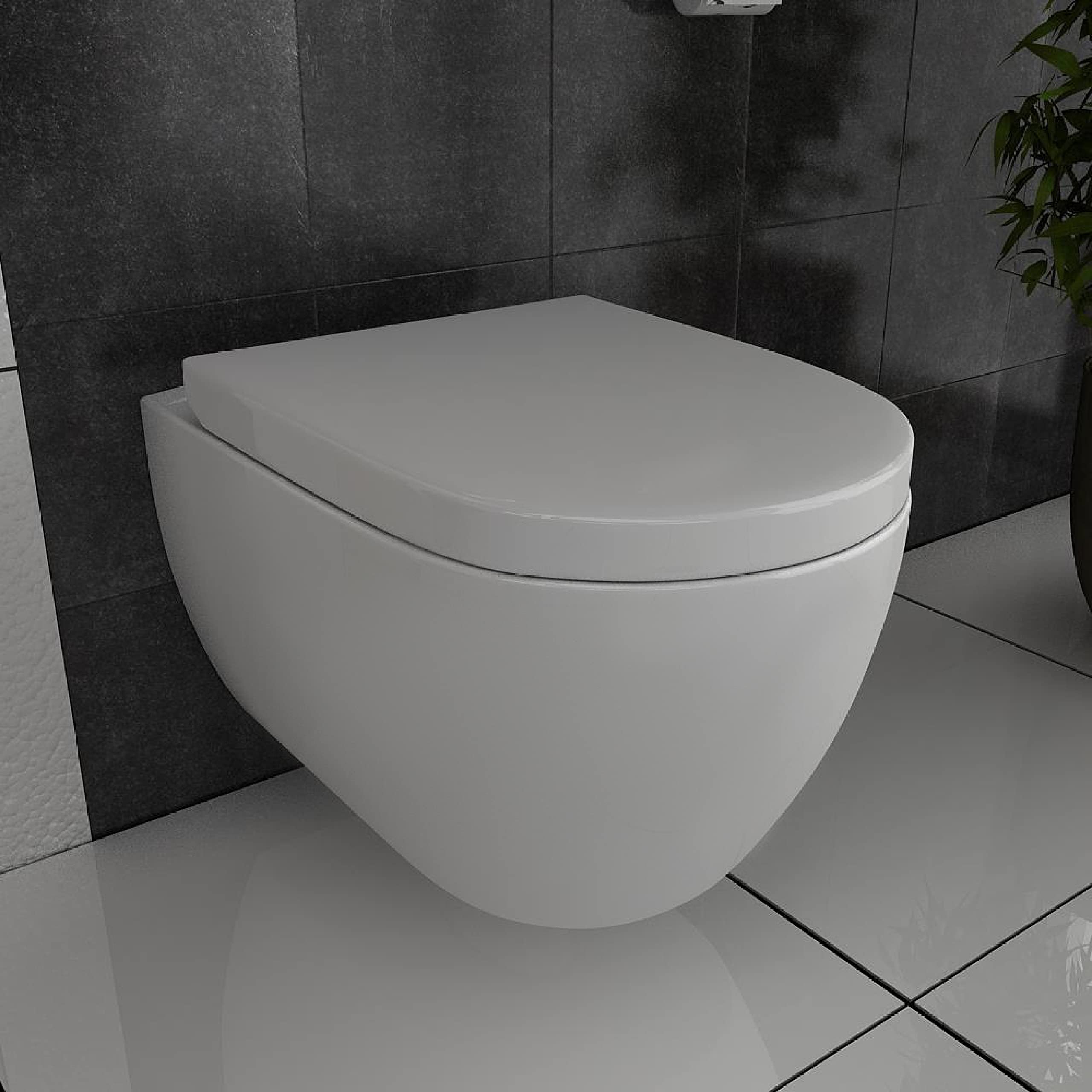 Alpenberger Inodoro colgante con función bidé integrada, 2 en 1, con tapa de inodoro de duroplast, cierre suave, de cerámica, para baño y aseo de invitados de pared, de Taharet