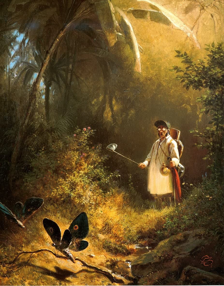 Impression d'affiches art portrait Carl Spitzweg toile 60x90cm