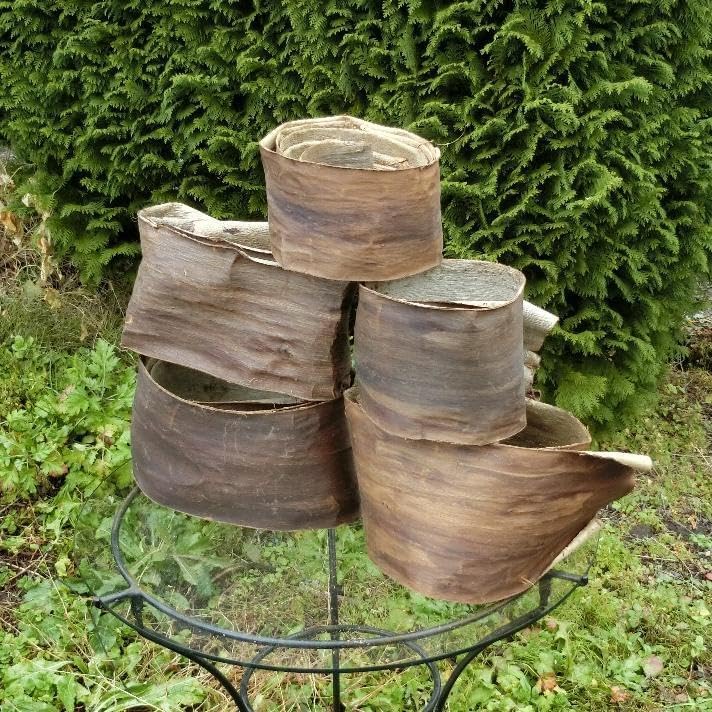 胡桃 くるみ クルミ 皮 樹皮 約2kg 練習用 - WWW.SUMORUSSELLVILLE.COM