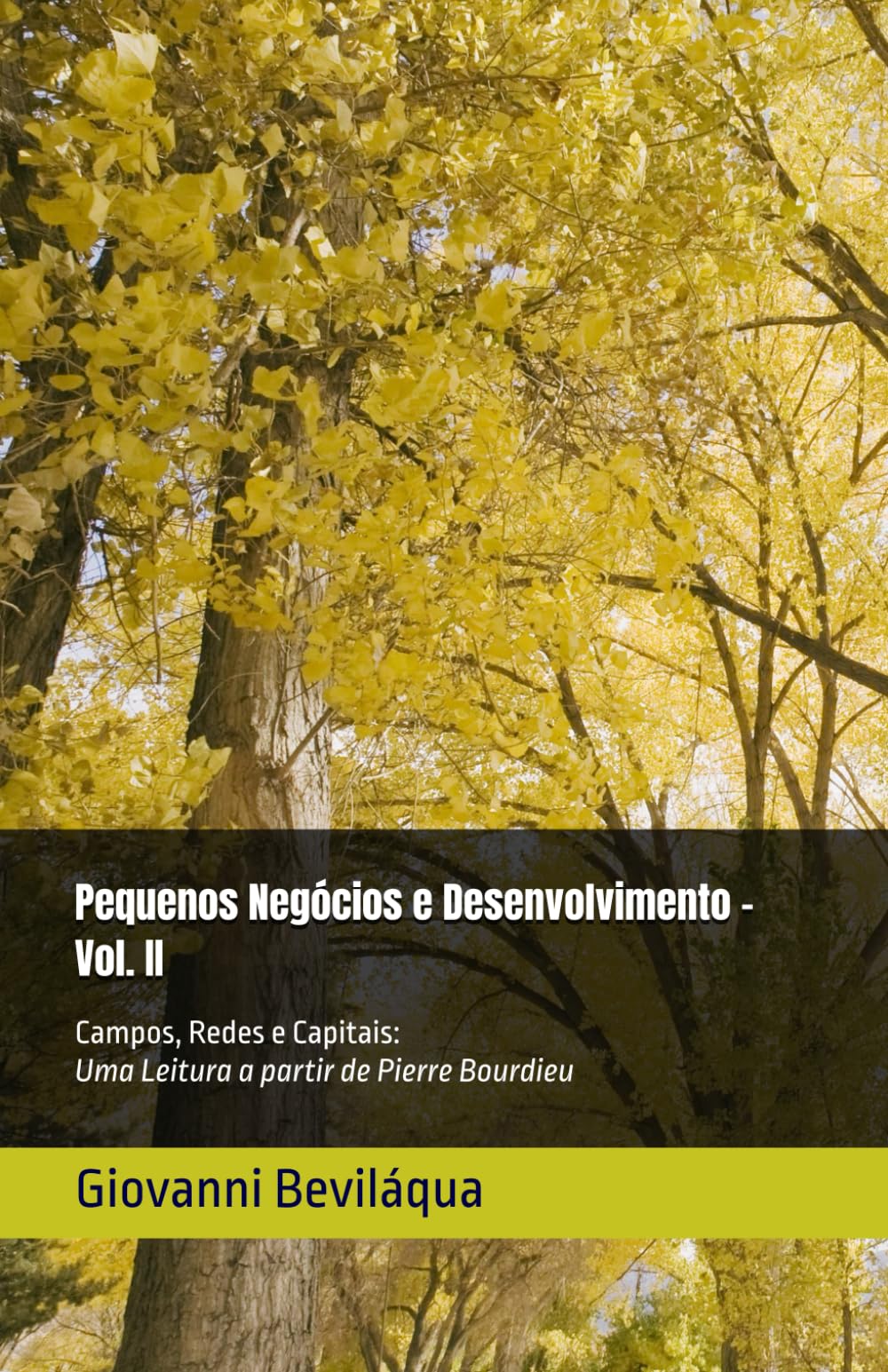 Pequenos Negócios e Desenvolvimento - Vol. II: Campos, Redes e Capitais: Uma Leitura a partir de Pierre Bourdieu (Pequenos Negócios e Desenvolvimento Social e Econômico)