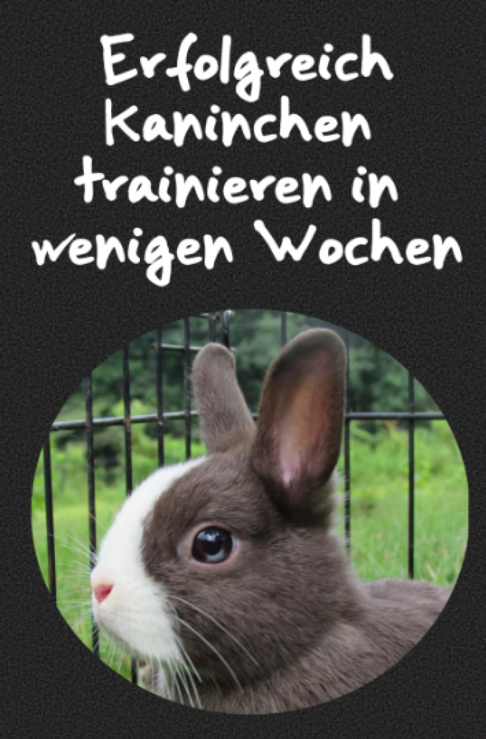 Erfolgreich Kaninchen trainieren in wenigen Wochen: Wie funktioniert das Kaninchen Clickertraining?