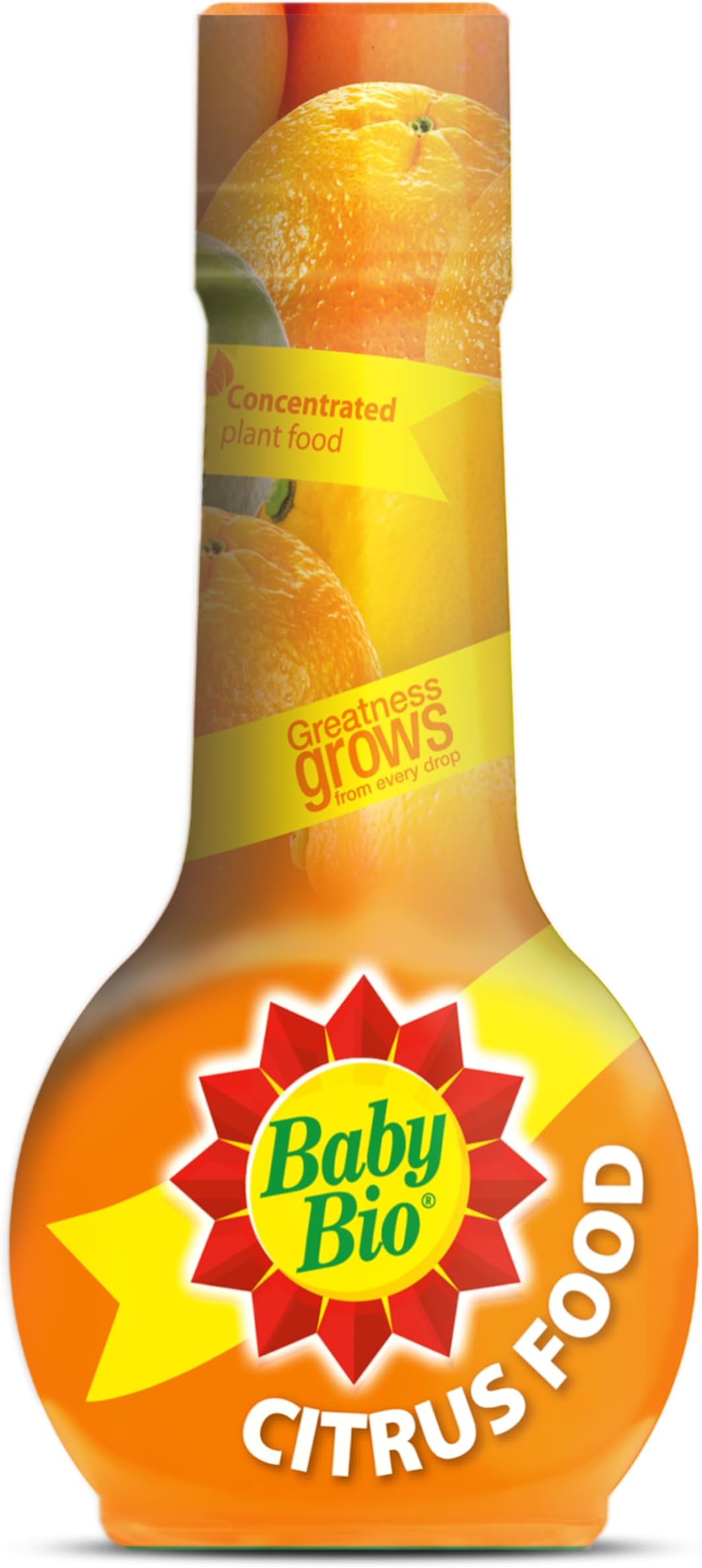 Citrus Food