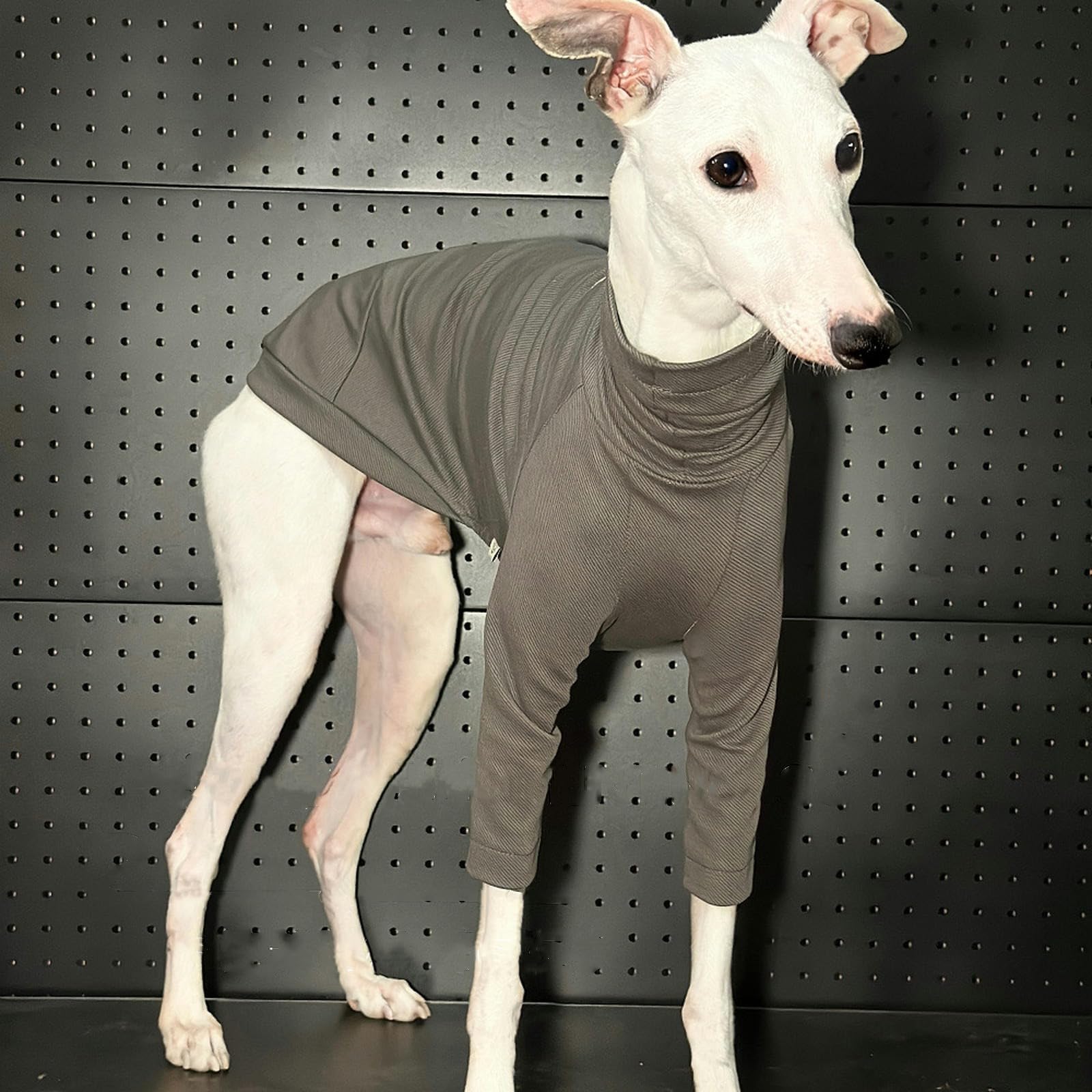 Camiseta de Galgo Italiano de Primavera y Verano, Ropa para Perros Whippet súper Fresca, Mono para Cachorros, Jersey elástico Ligero para Perros pequeños, medianos y Grandes