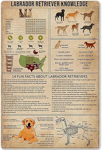 rayprint Outdoor Art Decor Labrador Learn Guide Metal Tin Sign Labrador Retriever Knowledge Plaques Farmhouse Bedroom Wall Hanging Poster Kennel Club 8x12inches