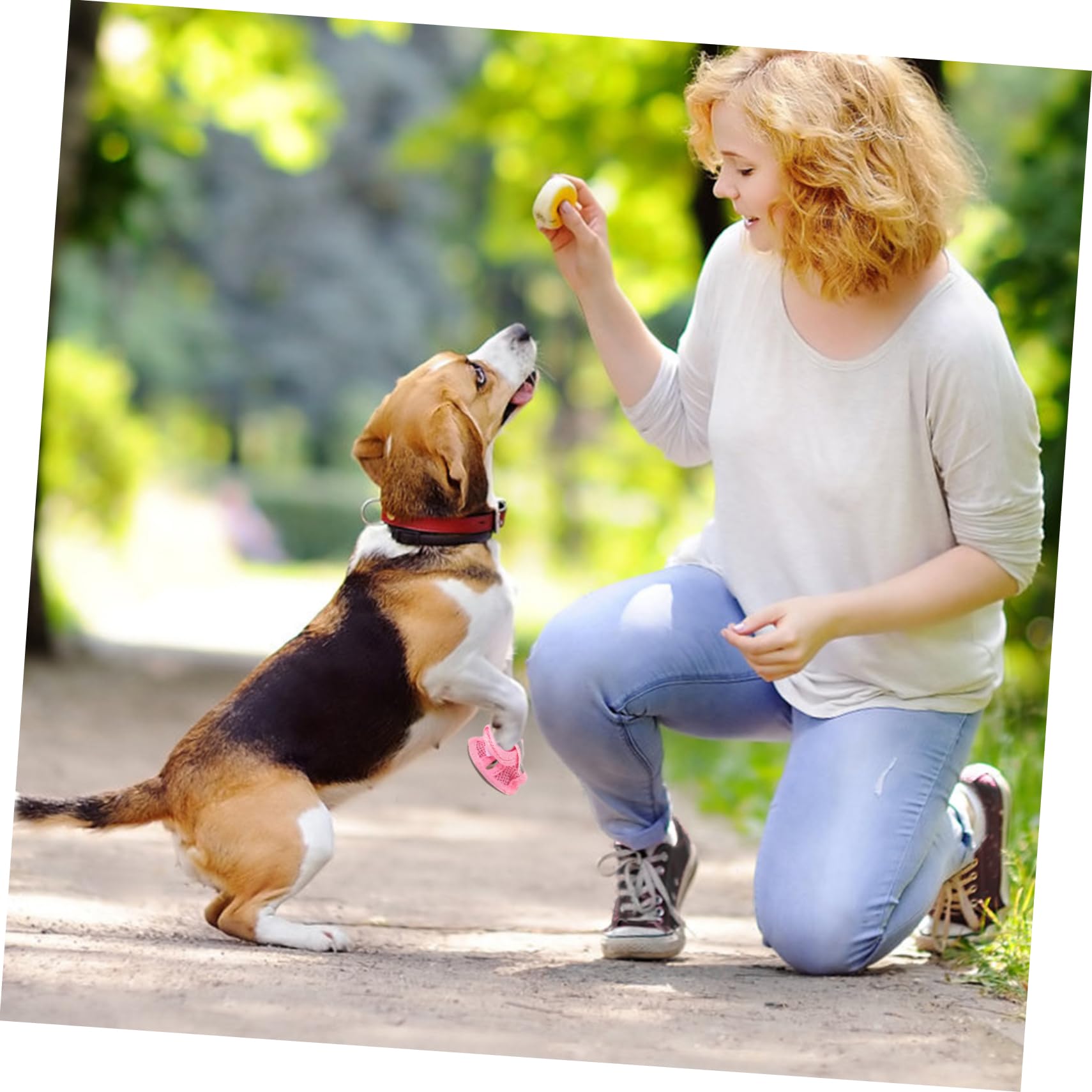 Sandales pour petits chiens - Chaussures d'été douces et respirantes - Semelle en caoutchouc antidérapante - Réglable - Pour la marche, la course à pied et l'extérieur