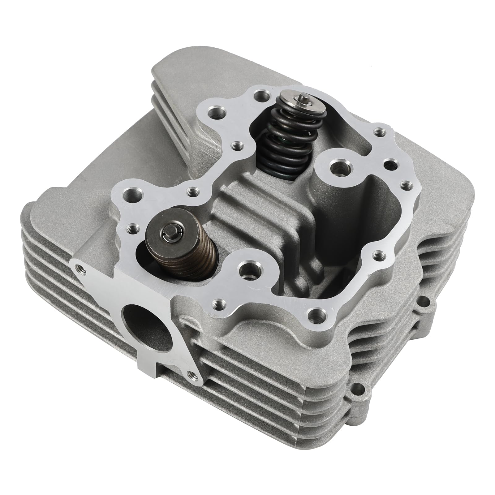 Amazon.com: Frezon Engine Cylinder Head with Valve and Springs Fit