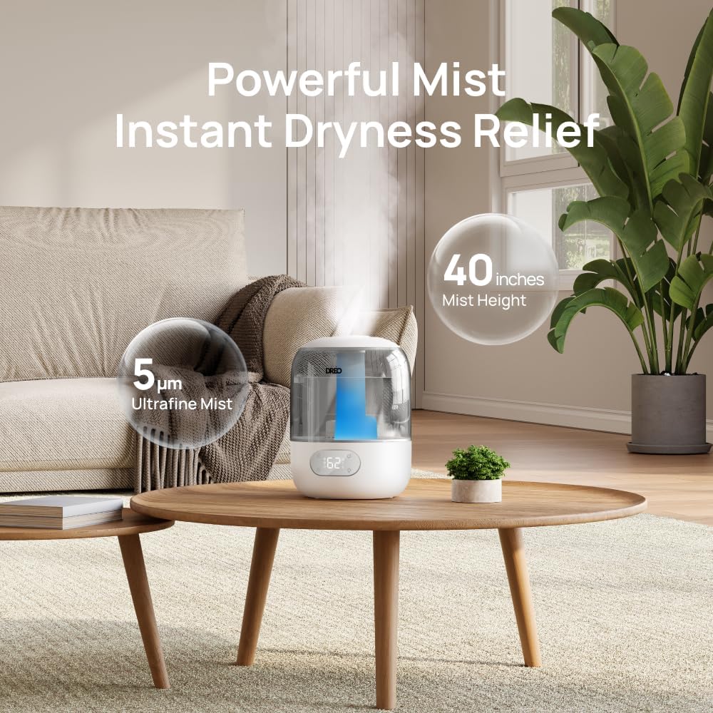 https://m.media-amazon.com/images/I/71eyrJi3MvL._AC_SL1000_.jpg