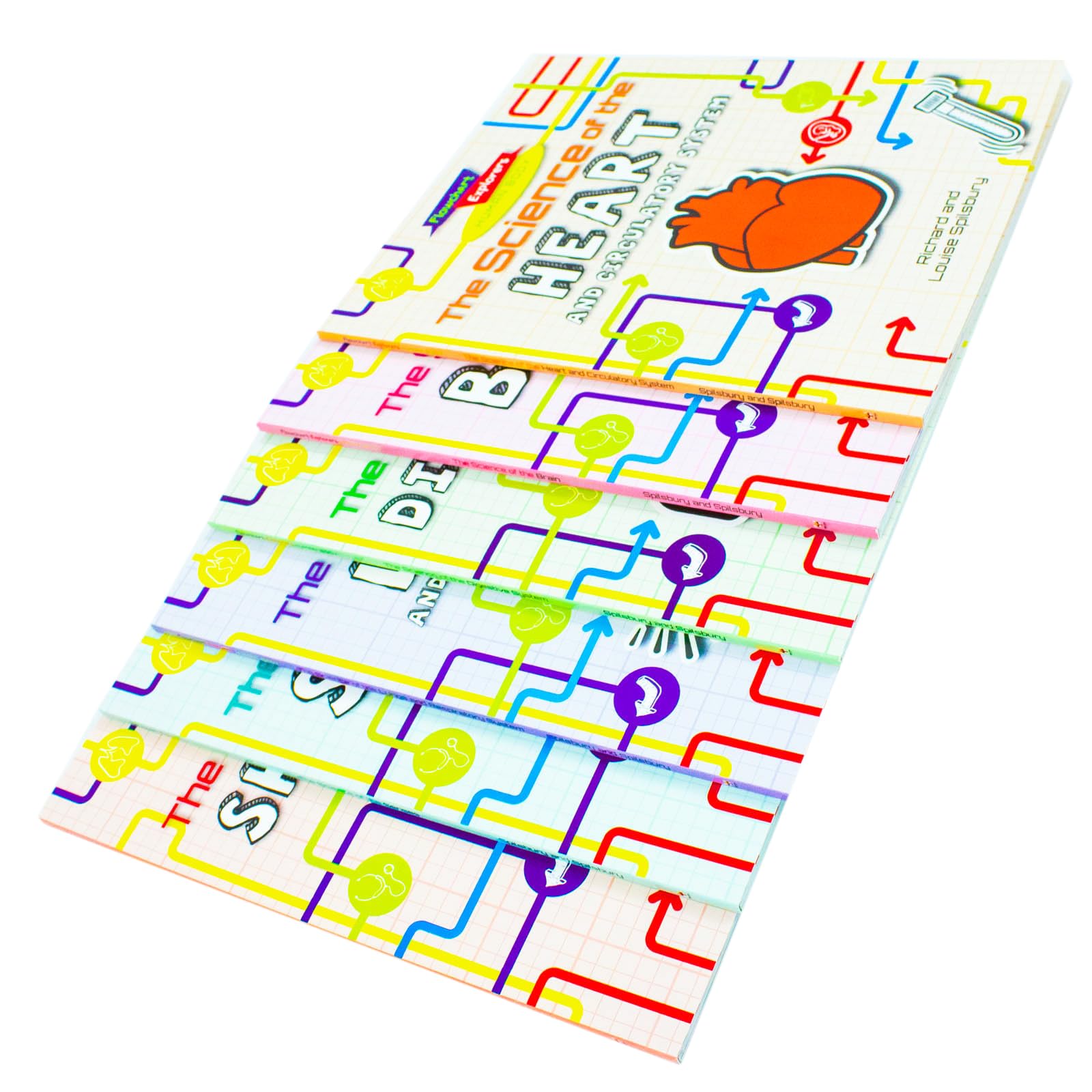 Flowchart Explorers Human Body STEM 6 Science Books Set: (Brain, Digestive, Heart, Lungs, Senses, Skeleton)