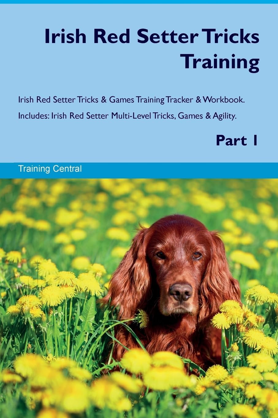 Irish Red Setter Tricks Training Irish Red Setter Tricks & Games Training Tracker & Workbook. Includes: Irish Red Setter Multi-Level Tricks, Games & Agility. Part 1
