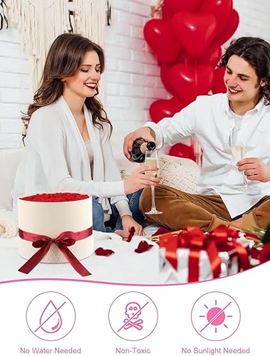 Miniatura 5 de Kalolary 22 rosas frescas para siempre en una caja, rosas preservadas que duran años, 100% rosas preservadas reales para su día de San Valentín, día