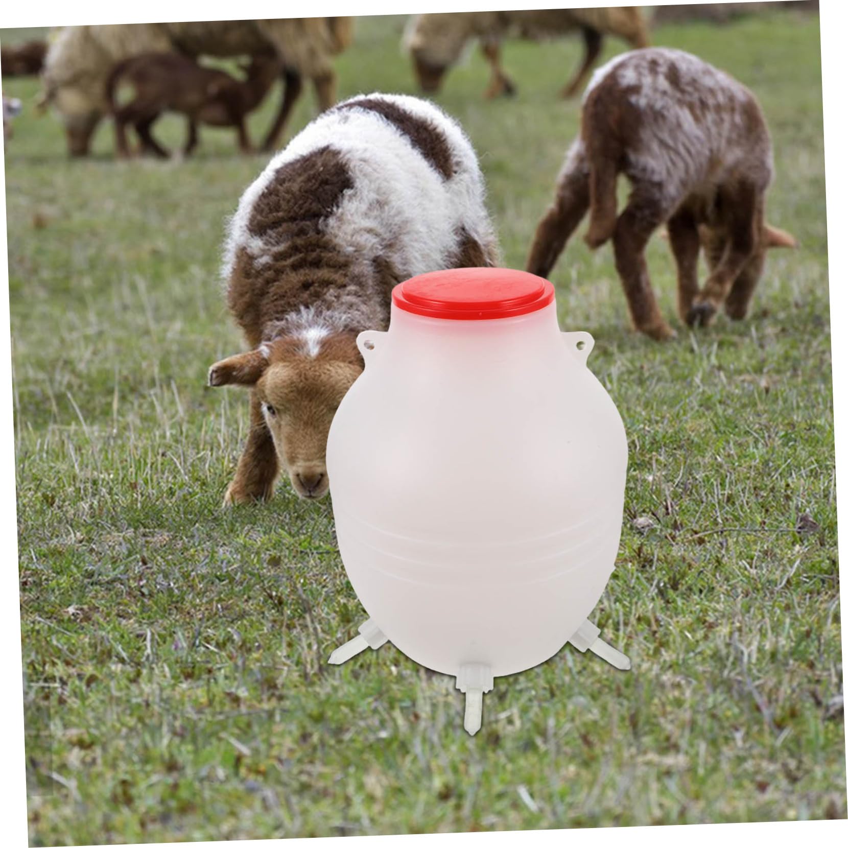 Biberon Per Latte Di Pecora Mangiatoia Per Latte Animale Con Tettarella Morbida Dispositivo Alimentazione in Riutilizzabile Per Agnelli e Bestiame