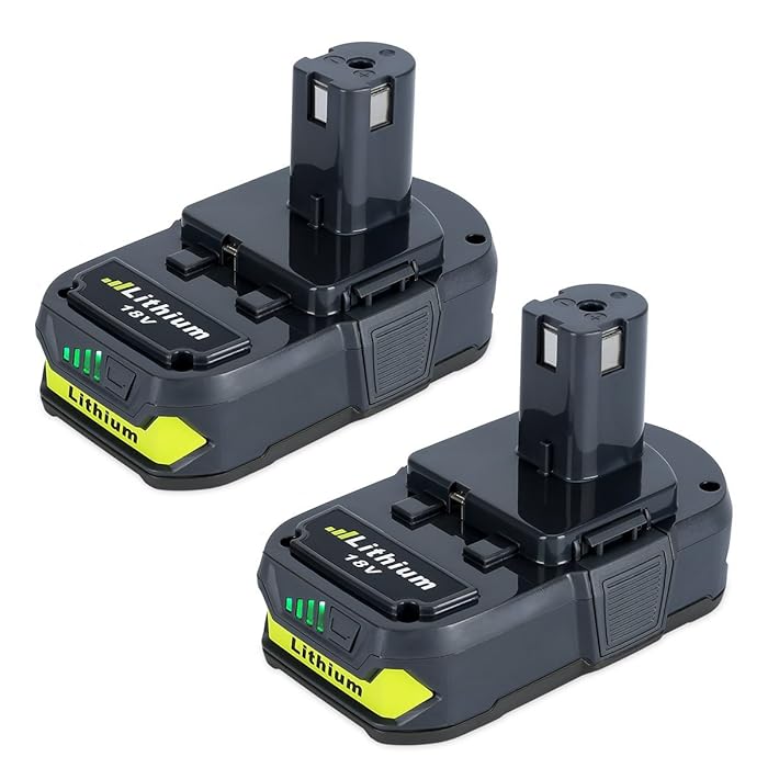 Buy Biswaye 2-Pack 2.5Ah 18V Battery 