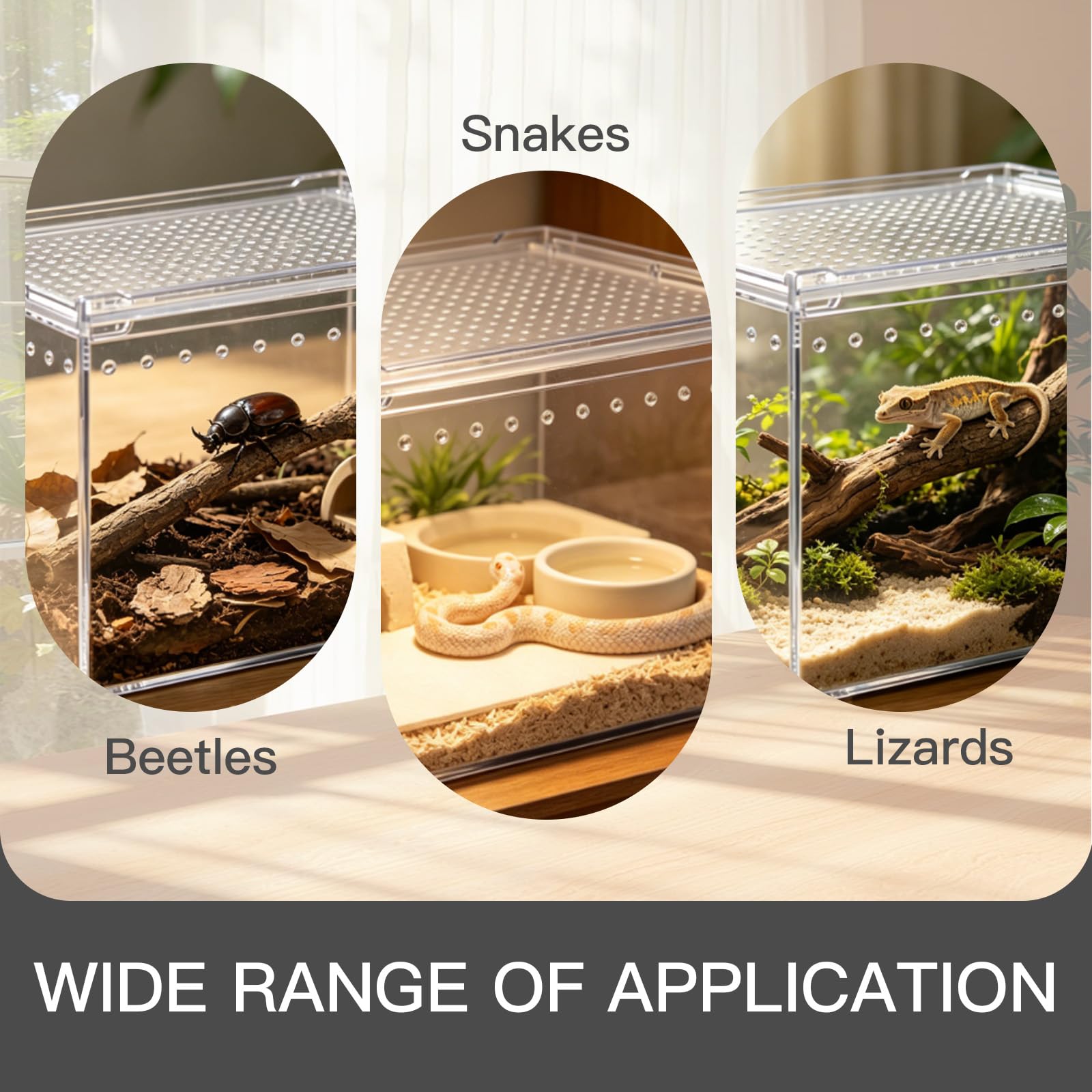 Magnetyczne pudełko do terrarium gadów, akrylowe, domowe, terrarium, układane w stos, pudełko na karmienie dla pająków, skorpiona, chrząszczy, rogatych żabek (30 x 20 x 15 cm)