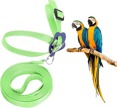 Bird Harness and Leash, 120cm Pet Parrots Adjustable Nylon AntiBite Training Rope for Outdoor Flying Parrot Harness Leash Training Supplies for Parrots Alexandrine, Scarlet, Keck, Mini Macaw(Green)
