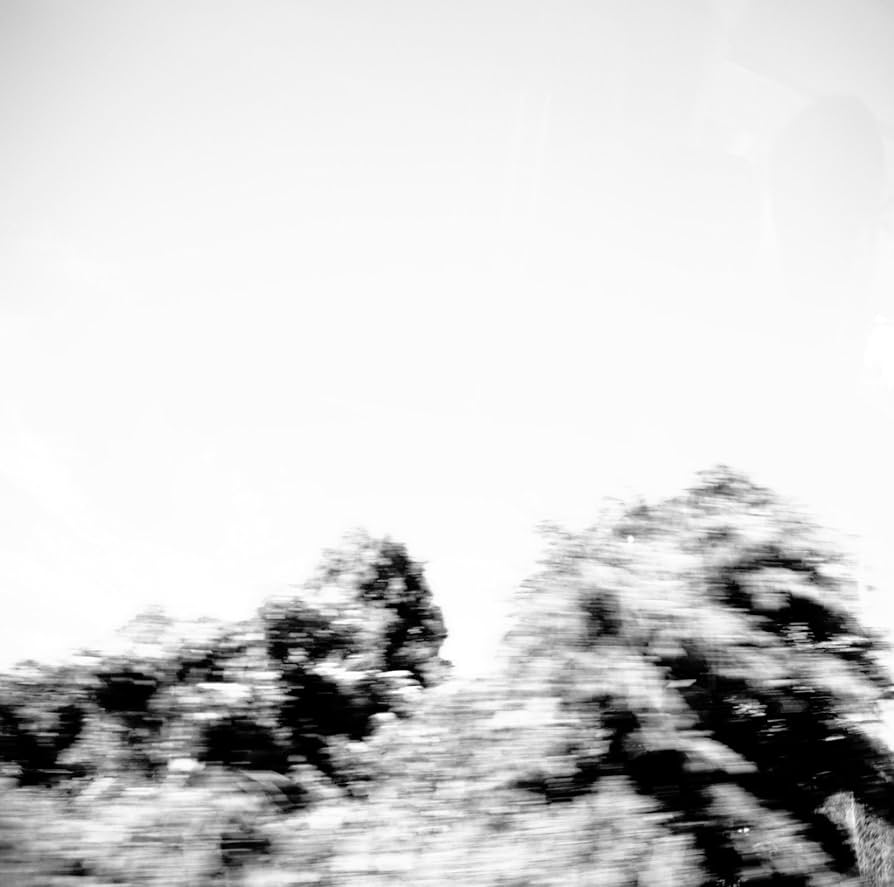 Amazon.co.jp: Pictures - Pay money To my Pain: ミュージック