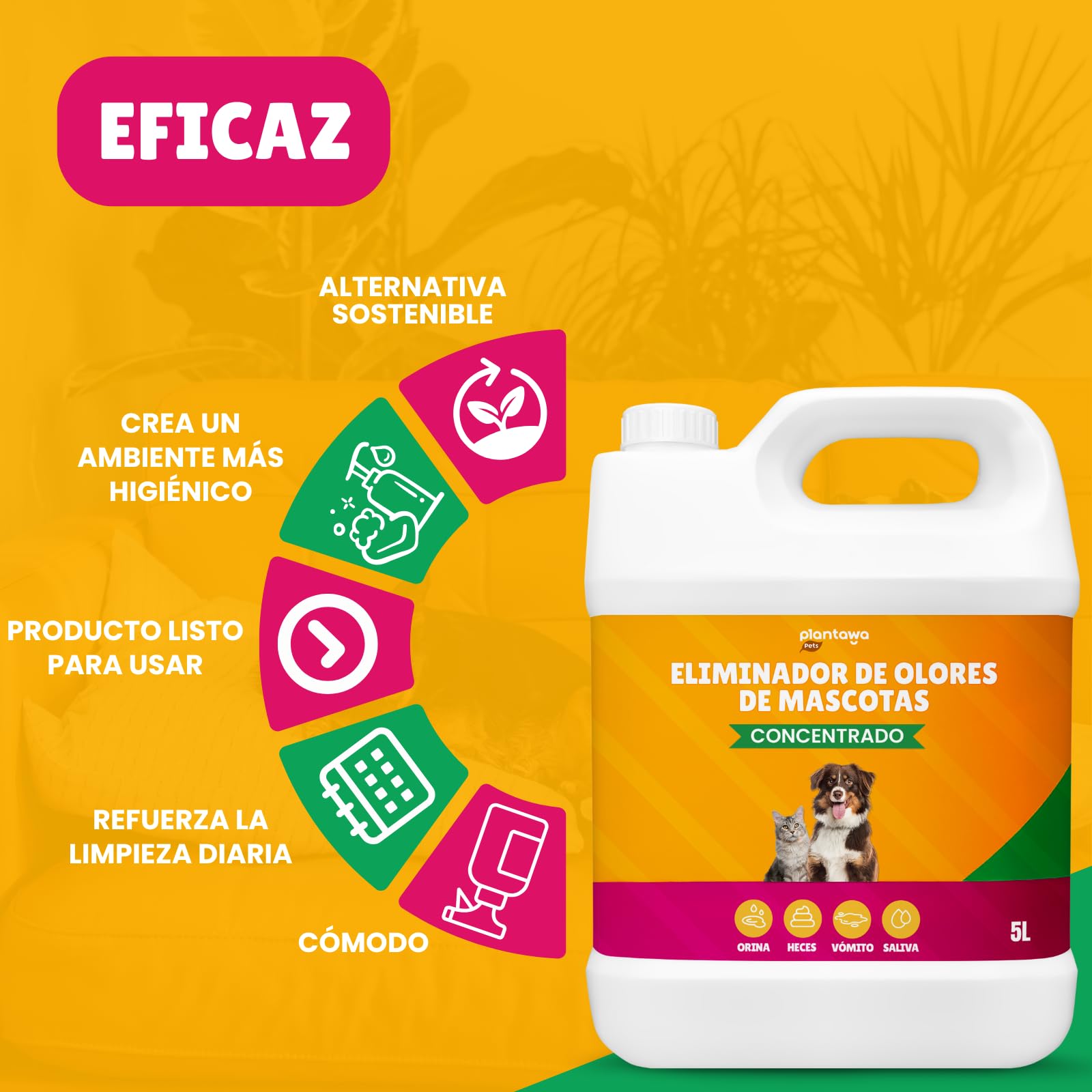 PLANTAWA Eliminador de Olores de Mascotas Concentrado 5L | Limpiador enzimático para orina perros y gatos | Neutralizador de olores hogar, alfombras, sofás y coche | Fórmula eficaz y segura
