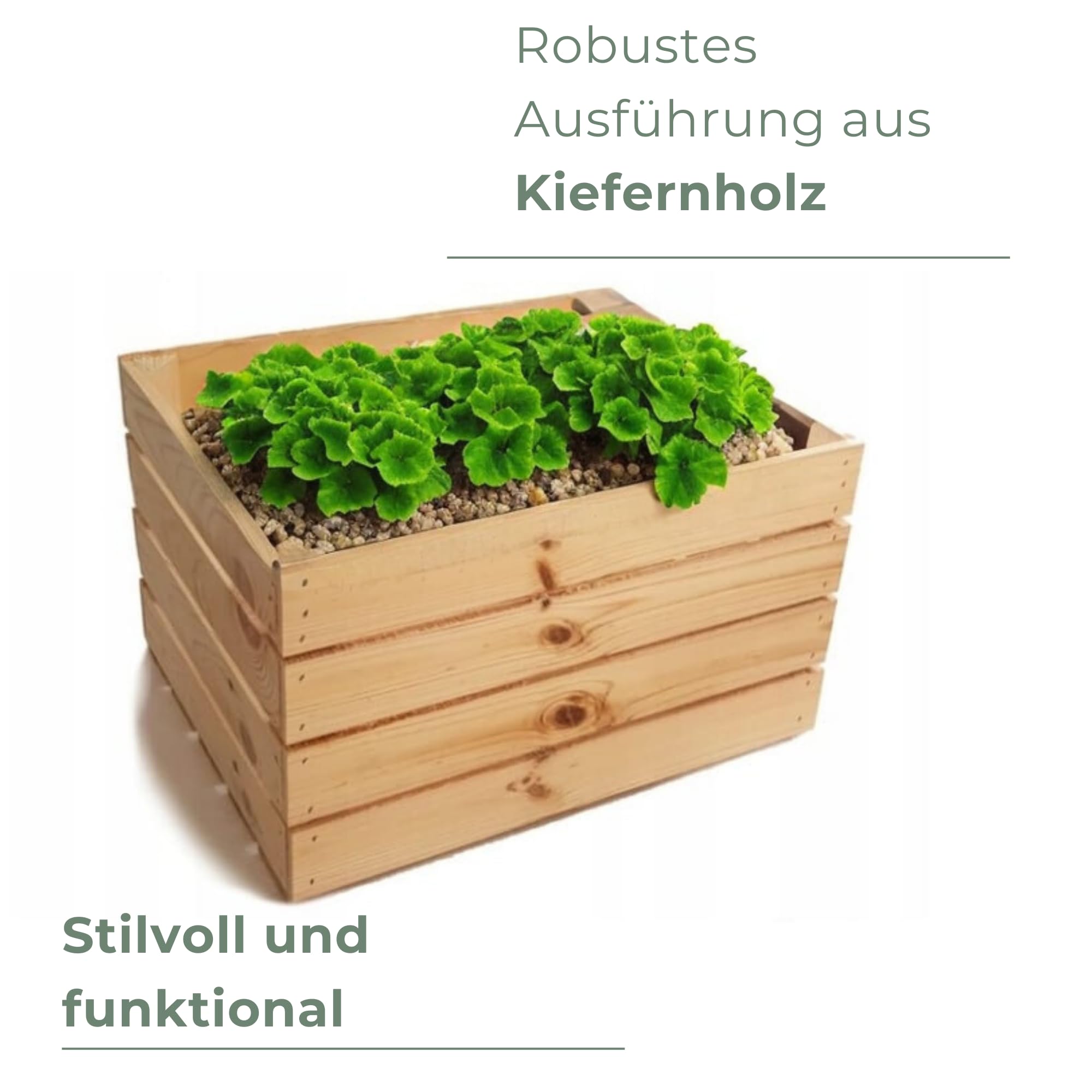3 Stück Holzkisten B:50xH:30xT:40 Geschenkkorb Leer Kiste Groß Deko Weinkiste Holz Obstkiste Nature Box