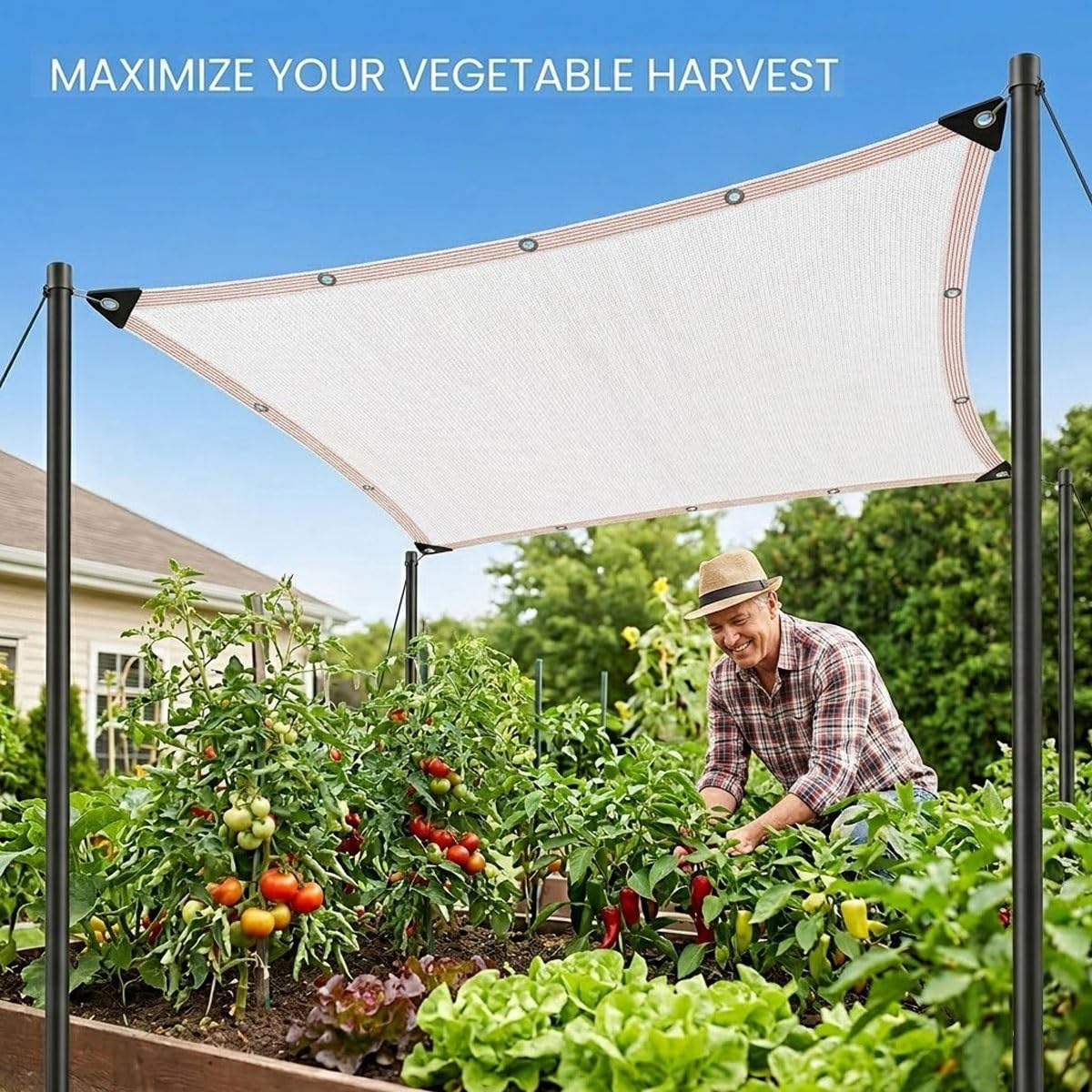 Bianco Telo Ombreggiante Esterno h 1m-10m 50% Rete Ombreggiante con Occhielli Traspirante Vela da Sole per Orto Balcone Giardino Piante Resistente ai Raggi Uv Parasole Rete Antigrandine(6x4m)