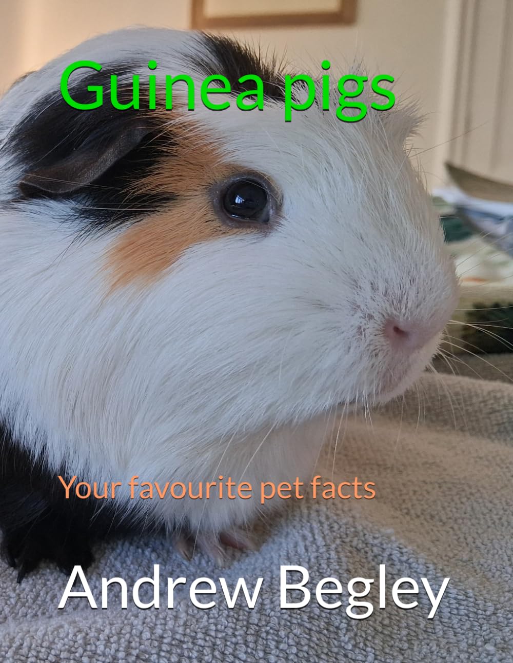 Guinea pigs: Your favourite pet facts