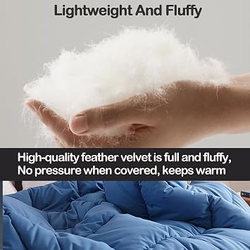 Goose Feather Down Comforter King Size, Lightweight Duvet Insert All Season Fluffy Down Quilt Ultra-Soft Warm Bed Comforter(Beige Gray 86x94 in(2kg)