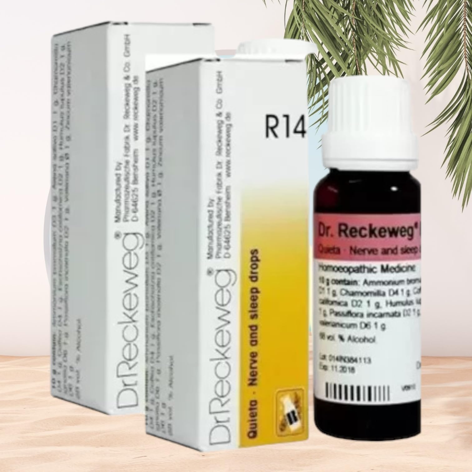 Dr Reckeweg R14 Homeopathic Medicine Quieta - Homeopathic Medicine 22ml, Pack of 2 (B0CYXYQ2YY) Amazon Price History, Amazon Price Tracker