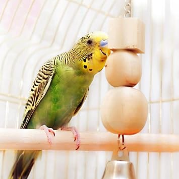 2PCS Bird Perches for Cage Wooden Parrot Perch Stand, Parrot Perches Toys Wood Perch with Different Widths Bird Cage Toys Cages Accessories for Macaws, Small Parakeets, Conures, Budgies, Finches