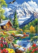 CEOVR Peinture Diamant Adulte Paysage 5D Diamond Painting Complet,Animal Chats Painting Diamant,Montagnes Enneigées et Forêts Diamant Kit Adulte,Diamond Painting Adulte 30x40 cm