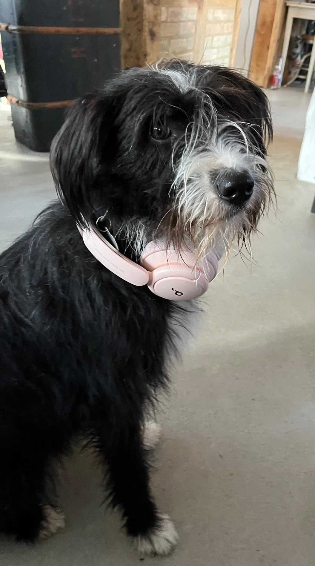 Ein guter Kopfhörer muss nicht mehr kosten…