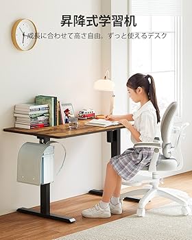 Amazon | FEZIBO 電動 昇降デスク ロータイプ 幅100cm 奥行60cm 高さ48