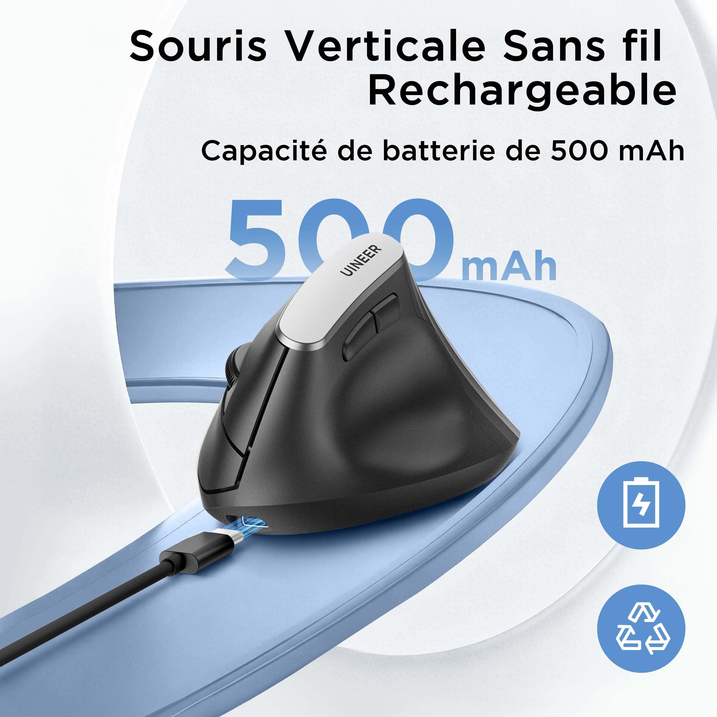 souris ergonomique sans fil, souris verticale 2,4G avec Indicateur de Batterie, DPI à 4 Niveaux, Confort et la Réduction de la Fatigue du Poignet, Idéale pour l'Usage à la Maison, Bureau, Noire