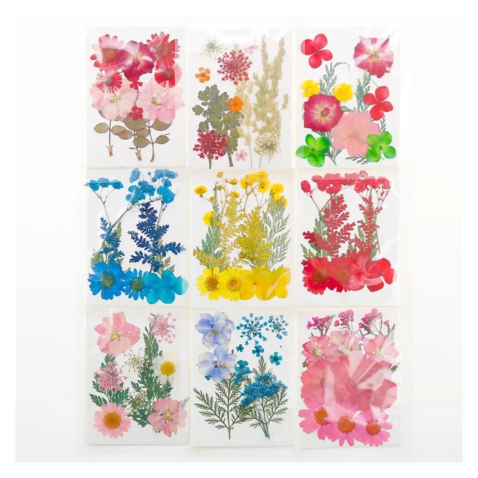 HBALDTEDC Getrocknete gepresste Blumen, 1 Packung Trockenblumen Trockenpflanzen for Harzformen Füllungen Epoxidharz Handwerk DIY Nail Art Dekoration Gepresste Blumen