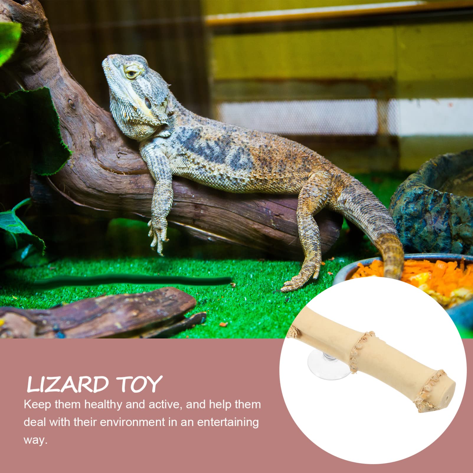 Happyyami 4piezas Rama De para Reptiles Juguete para Barbudos Suministro De Lizard Accesorios para Terrario