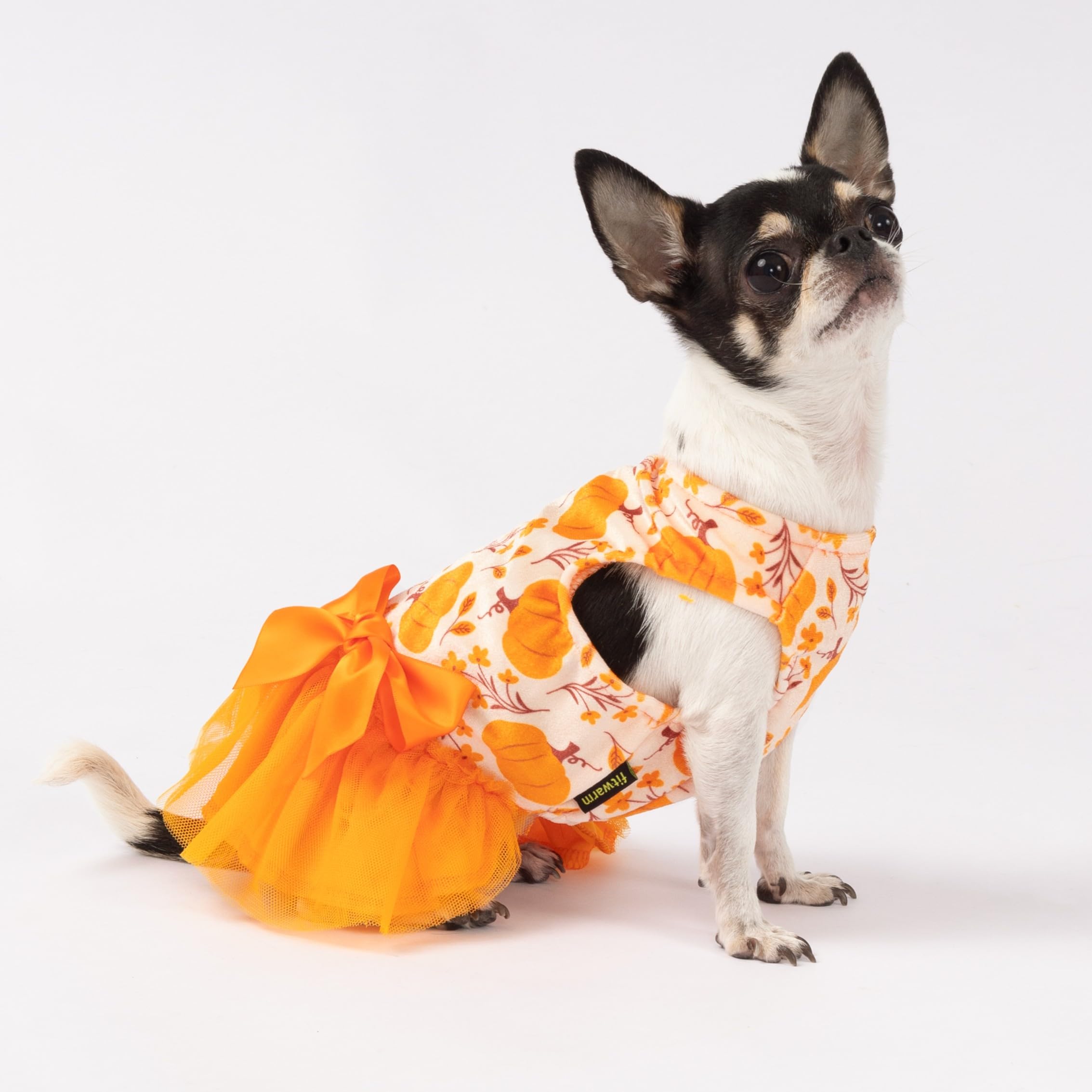 fall dress for dogs Amazon.com : Fitwarm Pumpkin Flower Dog Dress, Thanksgiving Outfit for  Small Dogs Girl, Fall Pet Outfit, Beige, Orange, Large : Pet Supplies