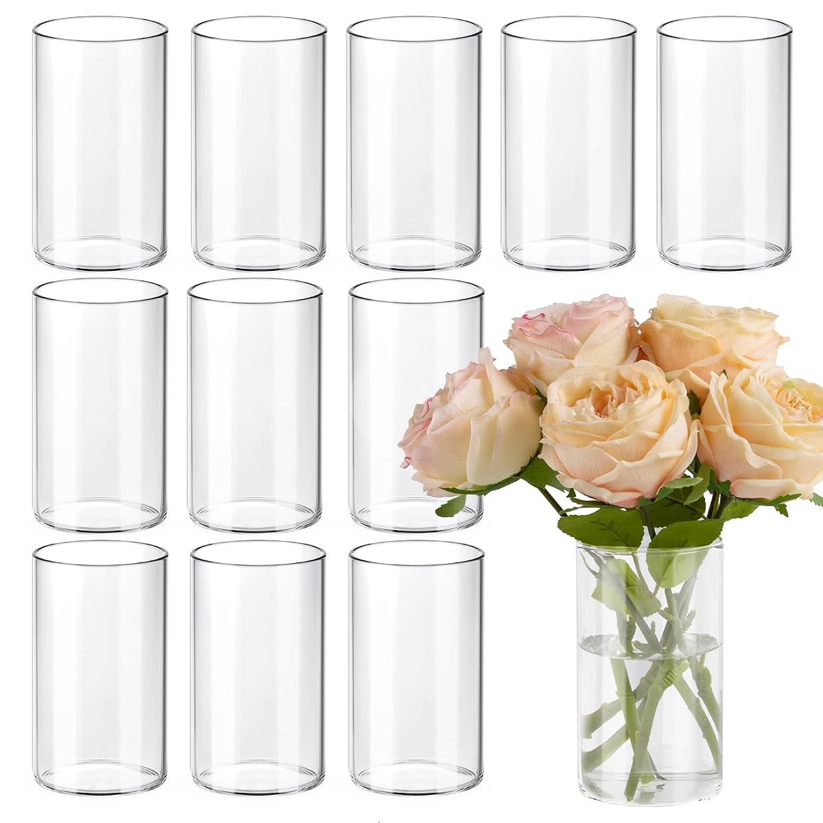 12pcs Clear Glass Cylinder Vase