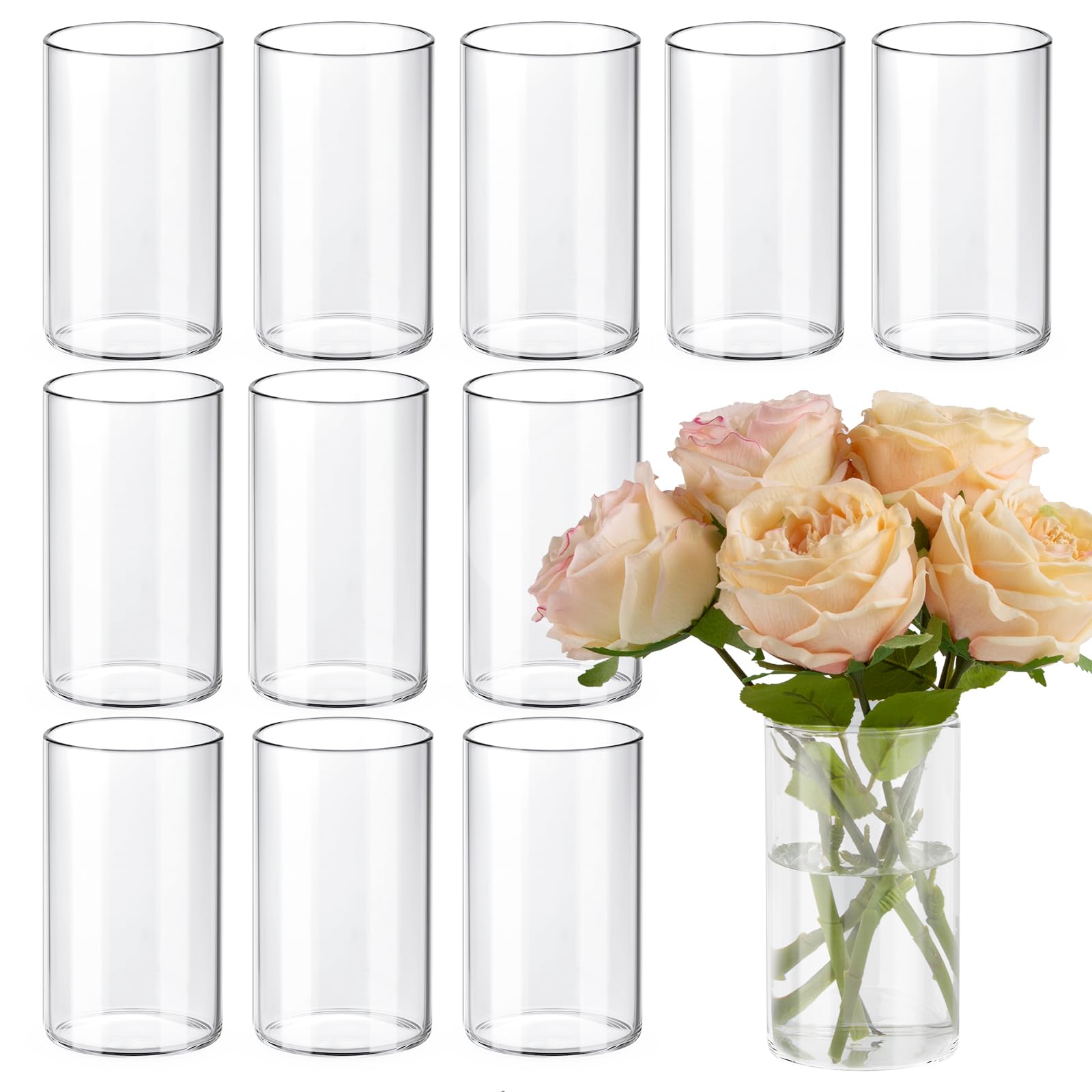 12pcs Clear Glass Cylinder Vase